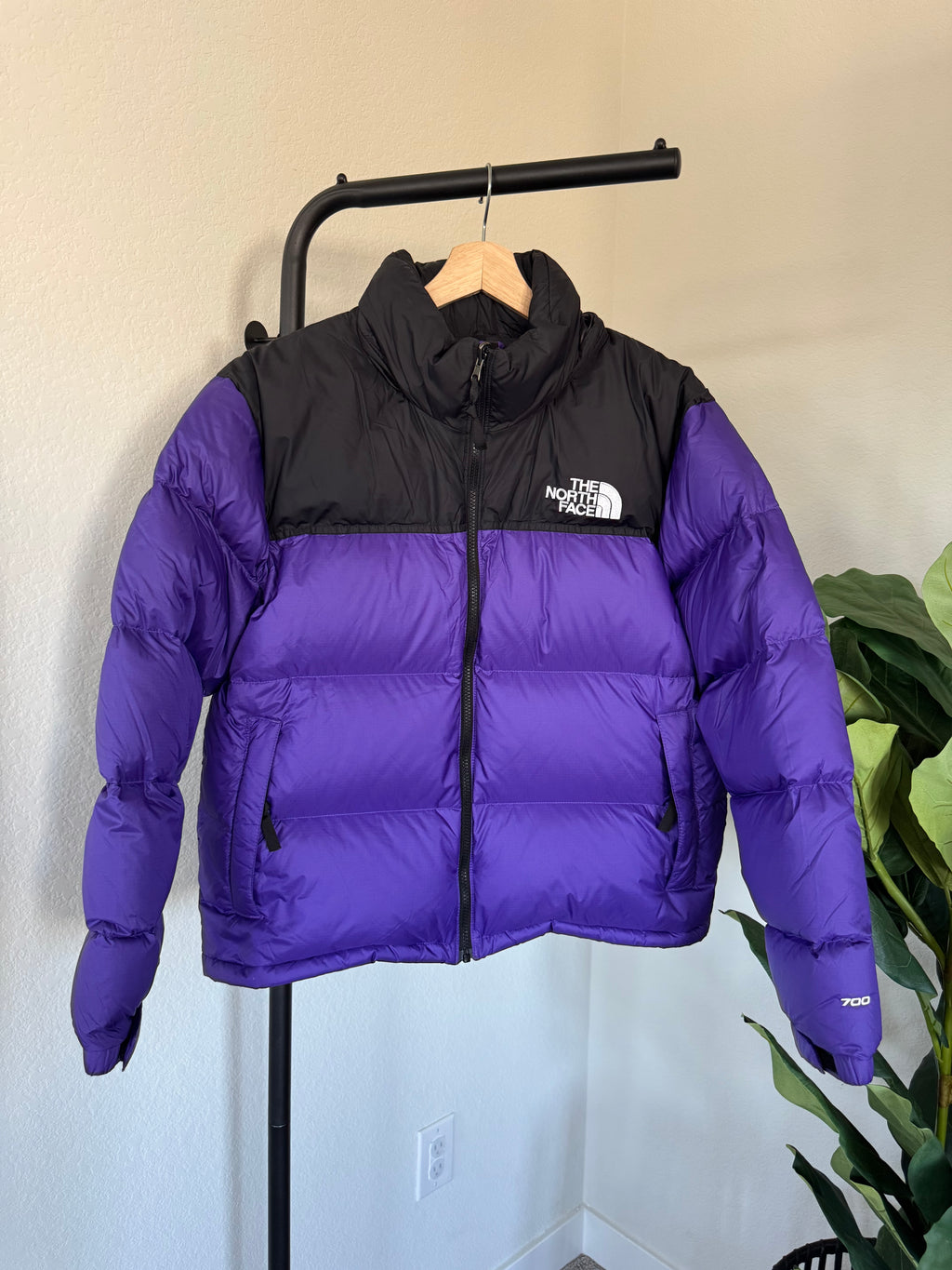TNF 1996 Retro Nuptse 700 Jacket Peak