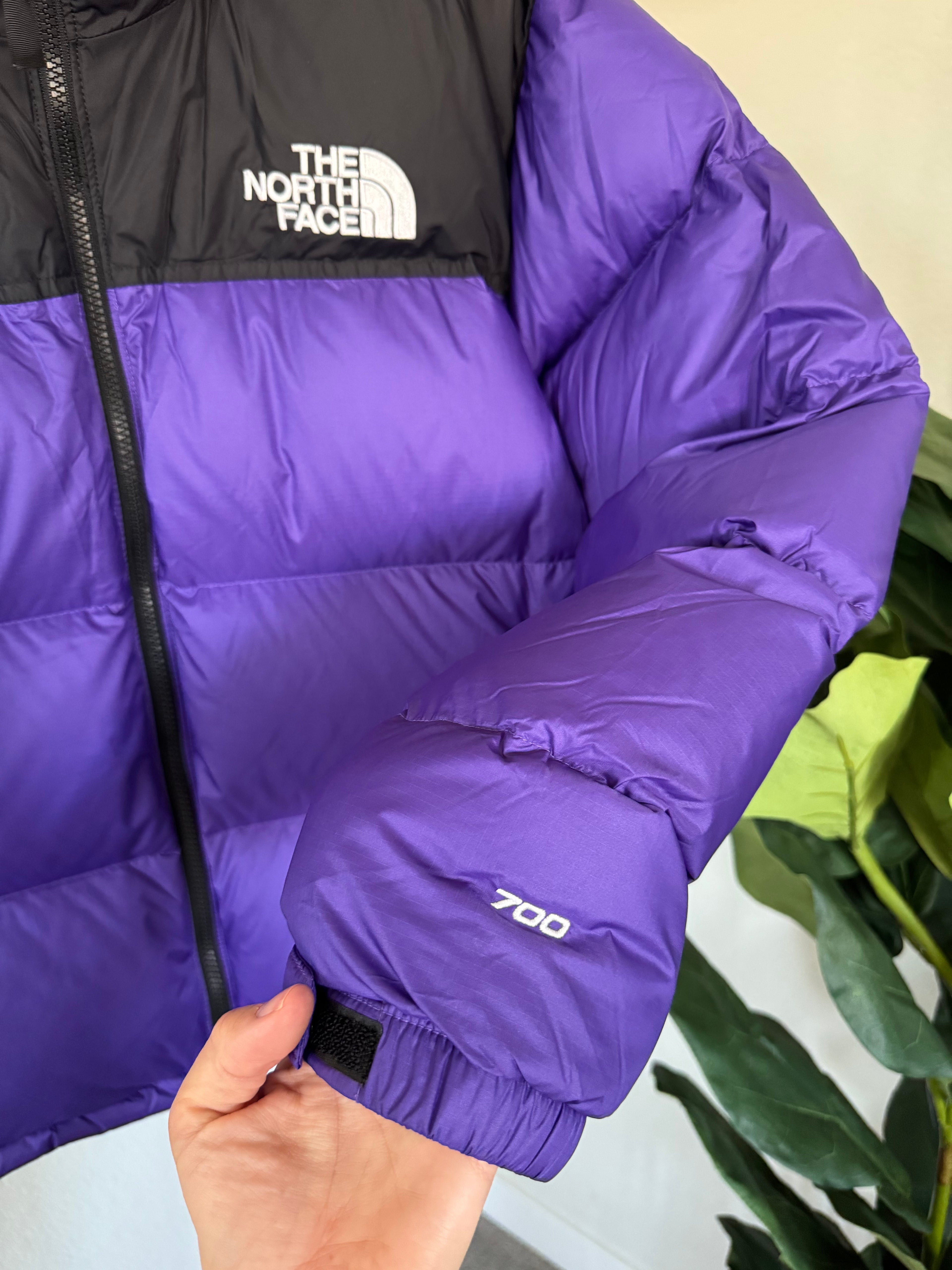 TNF 1996 Retro Nuptse 700 Jacket Peak