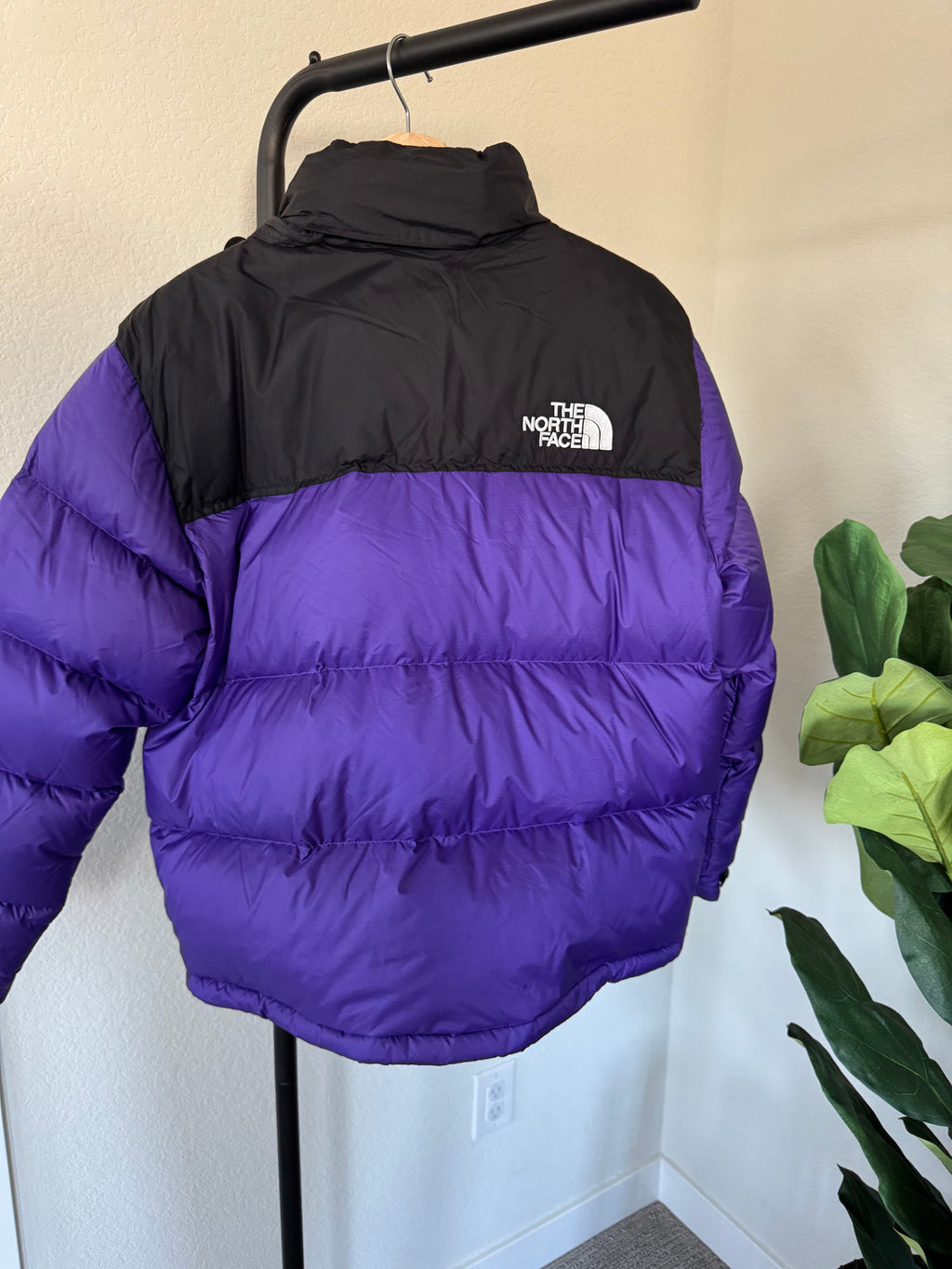 TNF 1996 Retro Nuptse 700 Jacket Peak